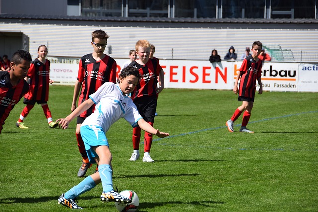 挑剔的篮板 挑剔的篮板