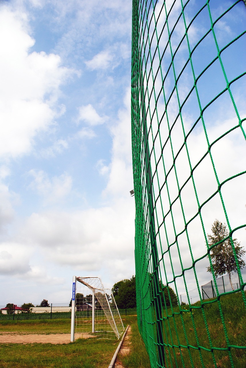 而不仅仅是 而不仅仅是