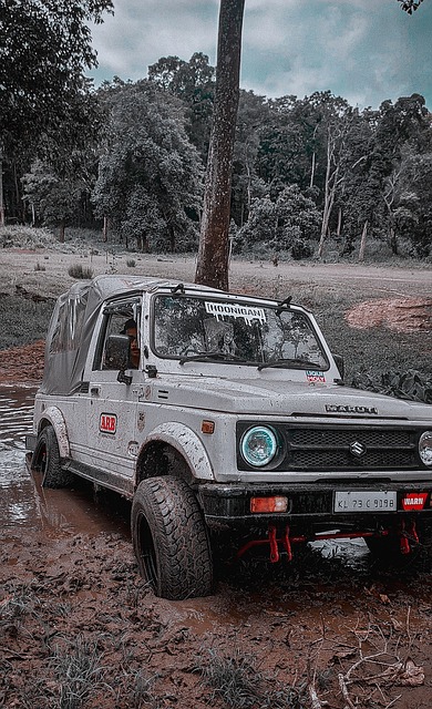 的成功故事 的成功故事