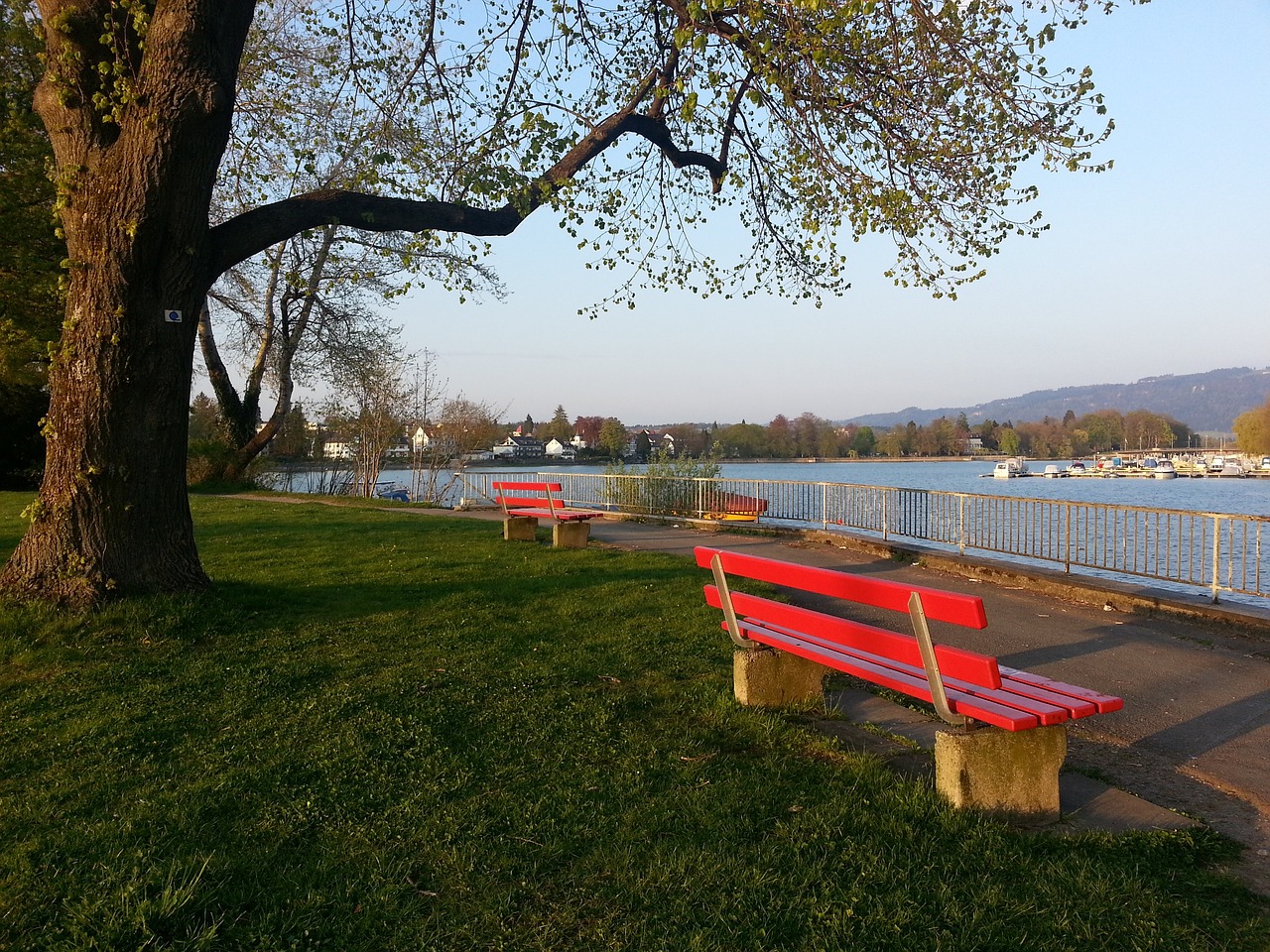 场他代表前 场他代表前