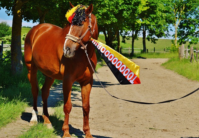 本文將深入 本文將深入