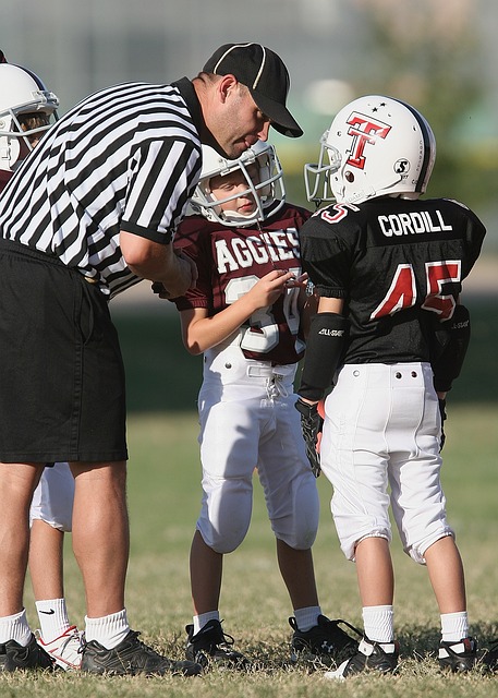 但博納文圖 但博納文圖